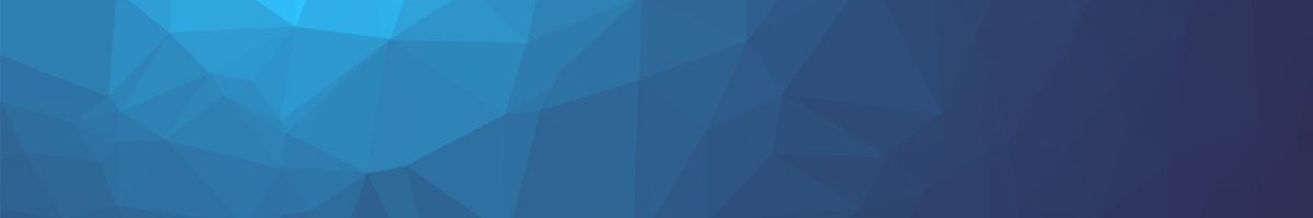 My Honest SWIOZ Review: The Top Instagram Story Vi Jeppesen